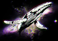 2019-11-08/afa6c0d3500f9a739de5f925a8faa24a_7cfaaac73f9a9092215c63c87b7bac4c