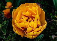 2019-11-08/c1d9207a3a47247f1378bbfd3f25fbd7_be2225fc2006de55fa7d2564c2e68b83