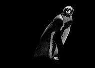 2019-11-08/dbb6135a0fcdaec8d9b18bdf9bd2b302_982e56ed8a56b90f555bf2181bf9810c