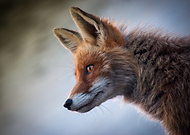 2019-11-11/63124a45bee3c5068f817a890570f5e7_87029424b7481bc238b668395c406ad6