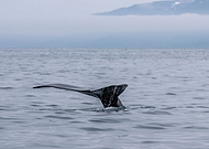 2019-11-12/71e184b7a3a5fa1a5a0ae06af05b978d_b9c5b16b75788d169720573975796d0b