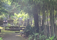 2019-11-13/257b15e0390a129e7ca7521350db0689_443883cd51cdb7c13385c339f4f92972