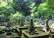 2019-11-13/fe121d3ee5355f12717924fc1928c076_d6b3a4ce8787fb558382ee3bbec98504