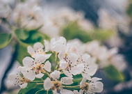 2019-11-15/bcf682df5c301b97119a4dd3ac628d75_03111b6ae1fcd0ad738de15aa1d03c8c