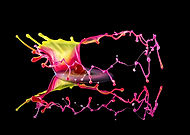 2019-11-15/e48d8c10bfd9921e1bc7d5be7be9490a_2177faa3490eb46c05b54c81e2bab9a7