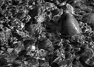 2019-11-16/4c2b5fb0391c84b623b05e07c73680ab_3d936e2bcca85c278803f777a94e9806