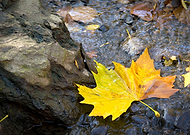 2019-11-16/a6e12f443608d6f1e406e9fb478e5fee_936024b44ae514a11c9b08edfaf88e77