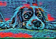 2019-11-17/80306156f7a1fe44998edf94642bdbf3_26b63bd82ca15fdb39d2db1e8e39b94a