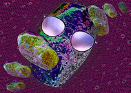 2019-11-17/887d8b65b4774b7a07ce6c2149c1aa6c_8a5cf4a3beb9f158f87b736cdb9f2f25