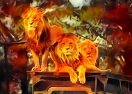 2019-11-17/fca4d769af4821f9ff9a60810d4572ec_45eaad1a4618e31152199419f4f40c72