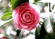 2019-11-17/fe9404fcbde2bb30f6bb80917168dcb7_fdcf598035c609f973614a6bf3e5458c