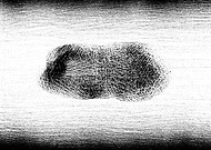 2019-11-18/4430fce9ed0a46107a34baacd1a45a73_2171814010a57757cc14aefb5a1dcc1a