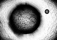 2019-11-18/9f5f31feb917b175548c7490332b173c_c5709466987e8c88f2b0e7b64c97a637