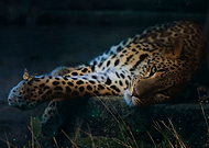 2019-11-19/9449af9ab6348ee1c6daf93cbe82dd75_7a6259931daeada347811ed596ff311d