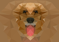 2019-11-20/92128f0bf558a01be8af0bea7946da0c_23a3cb7ea5bc8ff1c457cd4deee69169