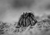 2019-11-21/744ae139c7461a8e47fbbd2e1eb0d701_602971d2b9102d2ee1f62682302fd41a