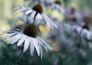 2019-11-22/498f9947b6b72fe65733e2a5da8f99ac_b845d8536c47b0414863756a452ad359