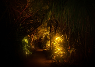 2019-11-23/7fb68c917f63ae59be5ab286c6a10cf7_9d453eb9b8c62e1a2af7675f0e5e7681