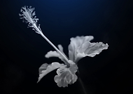 2019-11-24/5e4e60bde43ff3be758718675603e492_d2bb8f6f416cd5bb42898f359ddeafe2