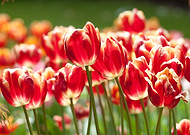 2019-11-25/1aa6a2e68476df55994b121d59b1f05f_b29bcda5e10ca001c8a443b2c16a1642