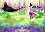 2019-11-25/8ecff6c3b59a9cc1addca1d6f6628116_9aab58b73d3a0b5e4f5b33ec0b24225f