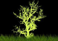 2019-11-26/19fa51470ab850bda822177674a3181c_235ed273b7b6dac063b0a3aa57fd2e7d