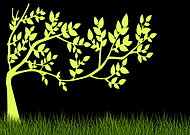 2019-11-26/c6ed07378fd3ad324dfacbeb379e2f6a_81a1a82bf9ce519151b0deec76a846e0