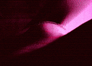 2019-11-27/667acee89d78ab9e0a3d2b1e10bf34fd_bef219a7e1b4be1e2585b67cbaaa1b85