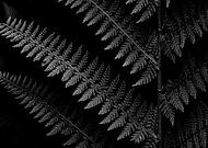 2019-11-27/da1d51857a073bead3fa9dc05fad3cb5_b1bb8f40dfa6b402786538bc9389dbc9