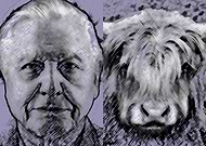 2019-11-28/618affdce3e787dbead83170bc4a1c3a_94def9ed49f69d35d0a90add08fe74e6