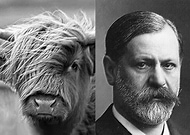 2019-11-28/8795fac3cdd2097cc54bc9990d1fce70_d73769a824dd2ab1af0dbdd99a79f043