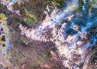 2019-11-29/87520e5e1f8803a364c66cc0796824cd_d7dbc6f8be89a5257c3e7082b9516455