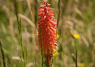 2019-11-29/b81849a950f1be66ba6e9ac5dcad012b_47c4ad6dfc27bf0d12620ccf8b3bdddc