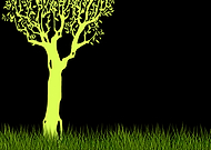 2019-11-29/d5b4c4e3a9b7e2315b3b648aa91181e3_7df0c0c487c34520b77fe97c4699aee4