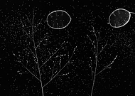 2019-12-01/3c64934d0641f213f3ec77c0cba7a88a_d890e084c7a0d474c1b8b9d02a5ec3c0