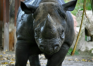 2019-12-01/77dd734918a12e8205f8524568318262_236c230e53e17d26430e7bb55b70d085