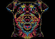 2019-12-01/b91fed7161e11bcaffadeb3c65a1ba97_f1158c5c23ac0f97709a4c9303440bf2