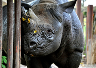 2019-12-01/dabcc253c9d08897fa83854bdd2e47f9_b9344e7ee1926a322142a764fcb9b793