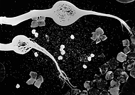 2019-12-01/e7f41455ec3b2d30c42e95f27b71805b_ae88c86c4a097c53b00b50bbe02e8d56