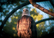 2019-12-02/0aac4da6bd499d274f26c008cfd414f1_bff4cb2a8a74dc982cce078f18cdedd0