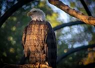 2019-12-02/0f63bccf8a7e8ac4e78c9cbe5662ae31_5b4f18e2cb40fd9bb7ef6b1feb43351e