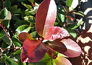 2019-12-02/1f30e43f0aa2942e1a6e8116ec44698f_d620442b576488c628169f8d695272e7