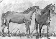 2019-12-02/f947c9f8d9aaf25a8a7de50c644ccb22_5d33d08c3d6ea5331dfb0994778144d4