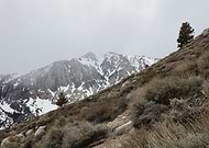 2019-12-04/14df543f0c5b8ddd357f1f72e75334f4_e1a4b16c71291fb9dfd9e537210a678c