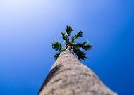 2019-12-04/4bca8cd02980fd973cf0e8fbd88047ae_deea9b0c6b21a5e8e37f1cfa952d0373