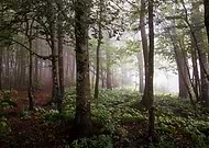 2019-12-04/7fe1414614072b3ddae420e2e8cd1d83_57b57f4ae4e03e1335ae8739a32e9693