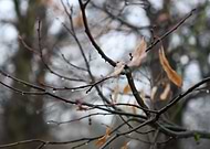 2019-12-04/b05dc45d72ce1542c8339e33550965dc_ecdefcea921a53847f425d8f3d470026