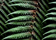 2019-12-08/711249aa6186fdbfb5705d9d6b932611_6b84ac4cc30d69d130283c5e7632b583