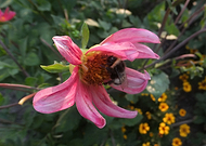 2019-12-08/ec7aab385d36e67a16dfdc57d010f9be_3fe1f9f83c5fd5b3eb33b76cd86037b3