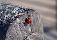 2019-12-09/84129cffc816dafcf9b144e98aa795fb_2fafe4788c36e06a2a9fda5f61d228bd